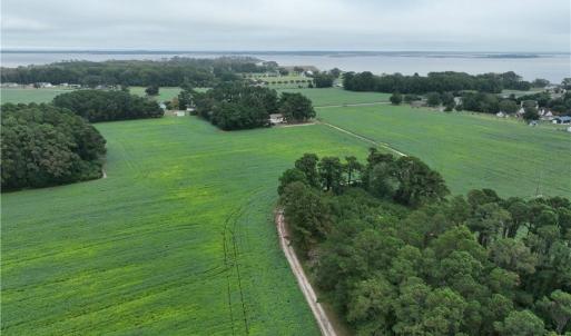 Photo #4 of 133 Blue Heron Lane, Knotts Island, North Carolina 51.0 acres