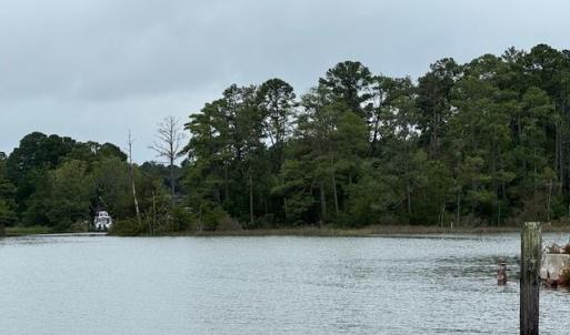 Photo #13 of 22+ac Severn Wharf Road, Hayes, Virginia 22.3 acres