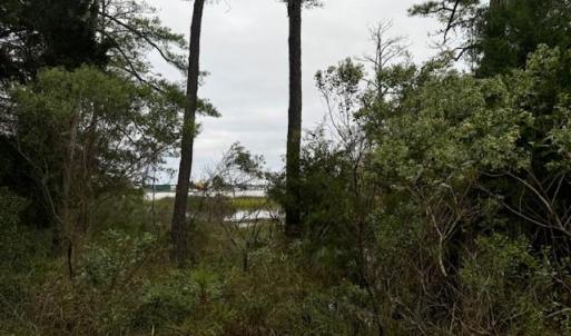 Photo #3 of 22+ac Severn Wharf Road, Hayes, Virginia 22.3 acres