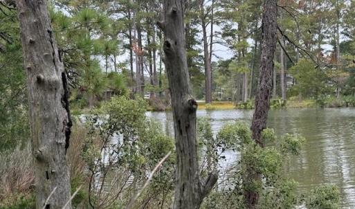 Photo #5 of 22+ac Severn Wharf Road, Hayes, Virginia 22.3 acres