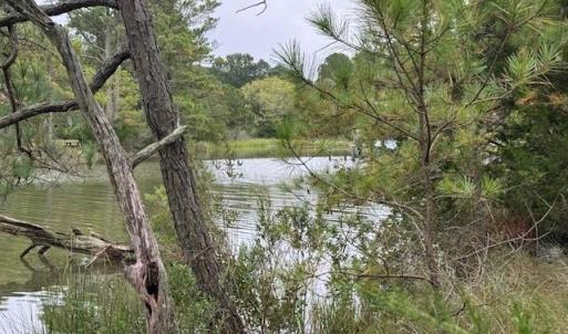 Photo #8 of 22+ac Severn Wharf Road, Hayes, Virginia 22.3 acres