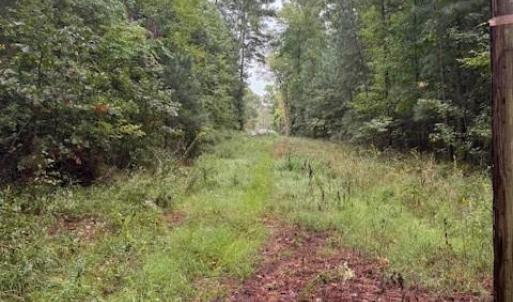 Photo #9 of 22+ac Severn Wharf Road, Hayes, Virginia 22.3 acres