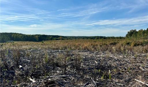 Photo #3 of 59+ac Inman Road, Danville, Virginia 59.4 acres