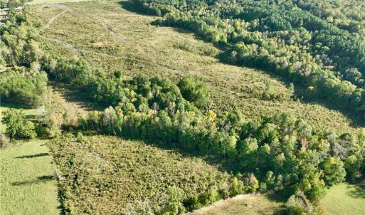 Photo #8 of 59+ac Inman Road, Danville, Virginia 59.4 acres