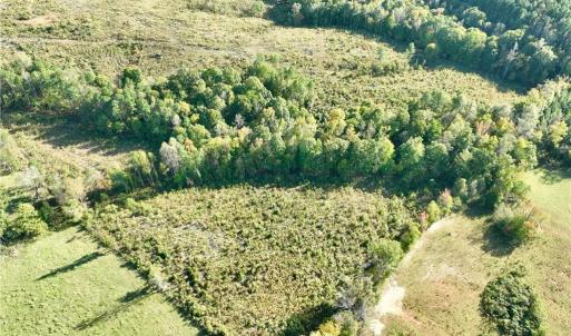 Photo #9 of 59+ac Inman Road, Danville, Virginia 59.4 acres