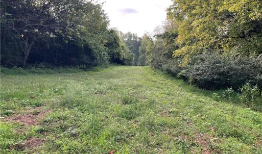 Photo #12 of 1105 Stewarts Road, Lanexa, Virginia 47.0 acres