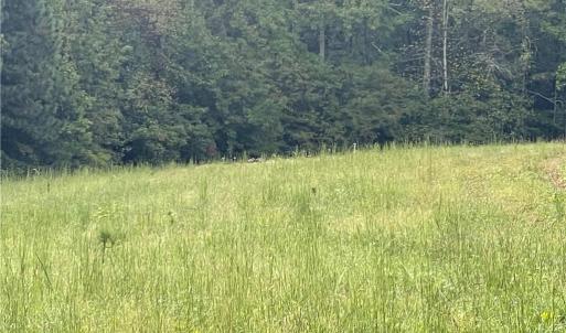 Photo #13 of 1105 Stewarts Road, Lanexa, Virginia 47.0 acres