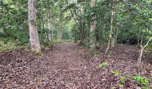 Photo #14 of 1105 Stewarts Road, Lanexa, Virginia 47.0 acres