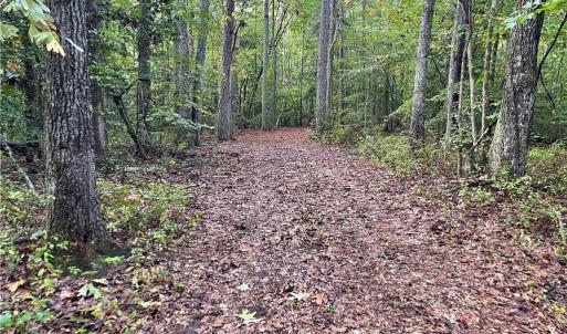 Photo #15 of 1105 Stewarts Road, Lanexa, Virginia 47.0 acres