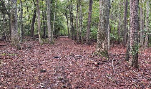 Photo #16 of 1105 Stewarts Road, Lanexa, Virginia 47.0 acres
