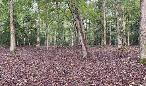 Photo #17 of 1105 Stewarts Road, Lanexa, Virginia 47.0 acres
