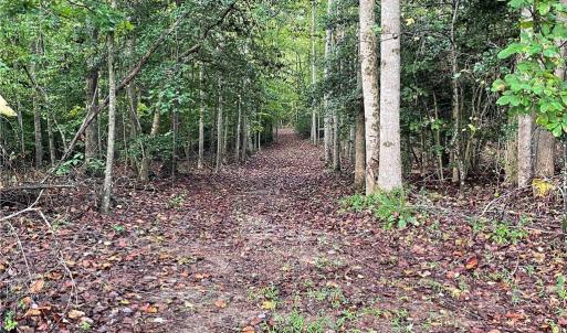 Photo #18 of 1105 Stewarts Road, Lanexa, Virginia 47.0 acres