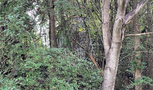 Photo #19 of 1105 Stewarts Road, Lanexa, Virginia 47.0 acres