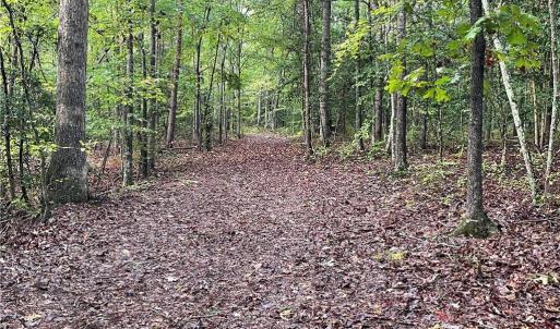 Photo #20 of 1105 Stewarts Road, Lanexa, Virginia 47.0 acres