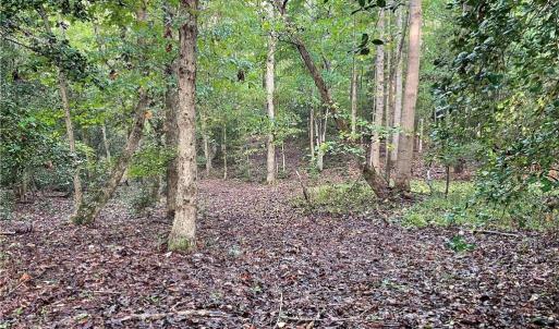 Photo #21 of 1105 Stewarts Road, Lanexa, Virginia 47.0 acres