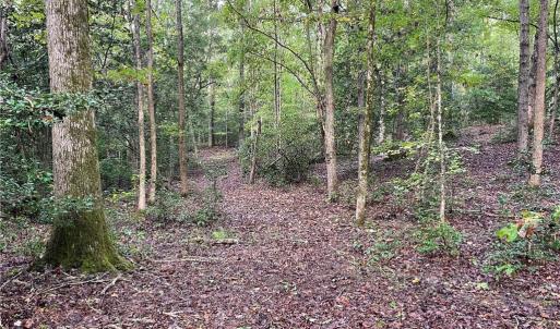 Photo #23 of 1105 Stewarts Road, Lanexa, Virginia 47.0 acres