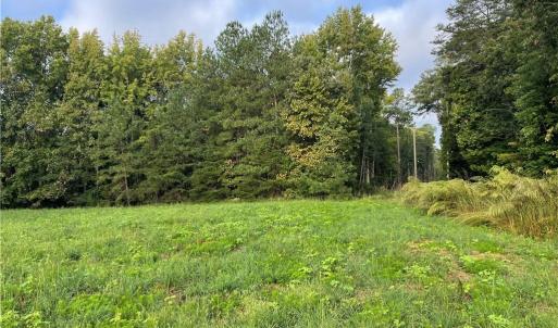 Photo #25 of 1105 Stewarts Road, Lanexa, Virginia 47.0 acres