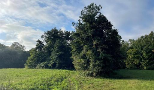 Photo #10 of 1105 Stewarts Road, Lanexa, Virginia 47.0 acres