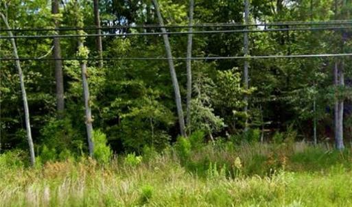 Photo #3 of 5249 Old Stage Highway, Smithfield, Virginia 9.7 acres