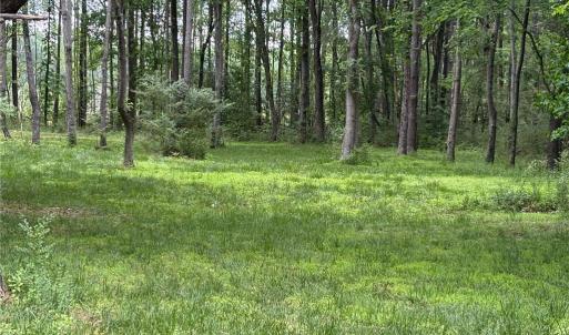 Photo #13 of 164 Summer Lane, Shacklefords, Virginia