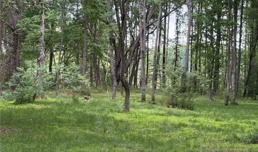 Photo #19 of 164 Summer Lane, Shacklefords, Virginia