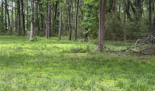 Photo #8 of 164 Summer Lane, Shacklefords, Virginia