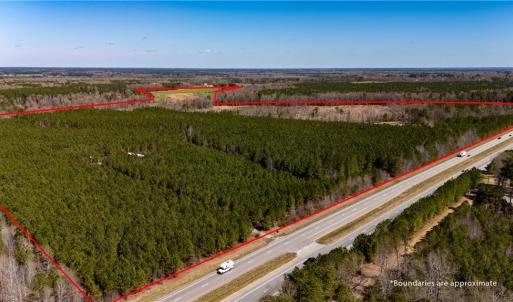 Photo #3 of 10445 Southampton Parkway, Drewryville, Virginia 165.1 acres