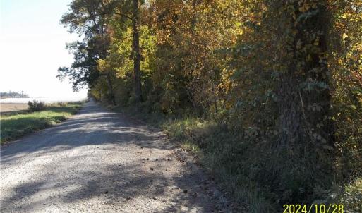 Photo #21 of 10445 Southampton Parkway, Drewryville, Virginia 165.1 acres