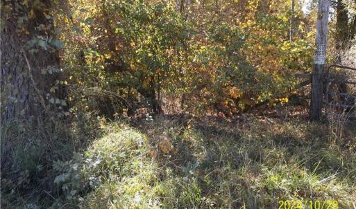 Photo #22 of 10445 Southampton Parkway, Drewryville, Virginia 165.1 acres
