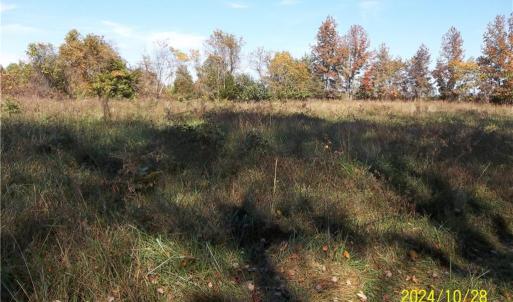 Photo #25 of 10445 Southampton Parkway, Drewryville, Virginia 165.1 acres