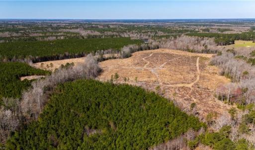 Photo #26 of 10445 Southampton Parkway, Drewryville, Virginia 165.1 acres
