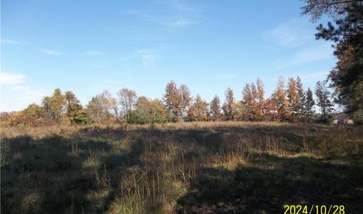Photo #30 of 10445 Southampton Parkway, Drewryville, Virginia 165.1 acres