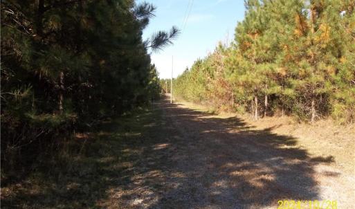 Photo #31 of 10445 Southampton Parkway, Drewryville, Virginia 165.1 acres