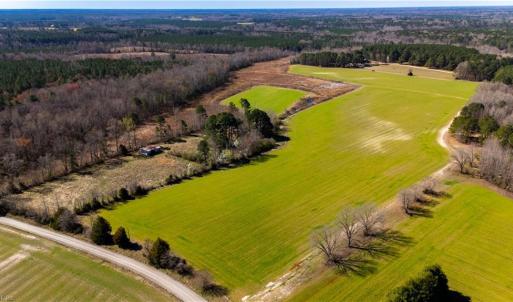 Photo #5 of 10445 Southampton Parkway, Drewryville, Virginia 165.1 acres