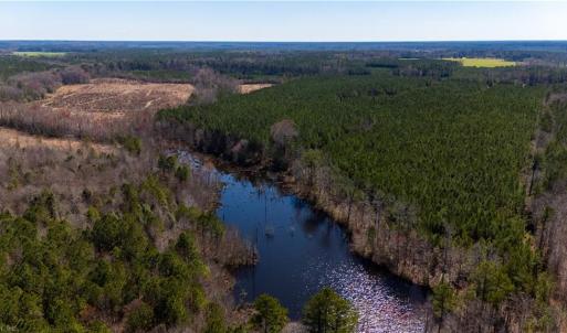 Photo #6 of 10445 Southampton Parkway, Drewryville, Virginia 165.1 acres
