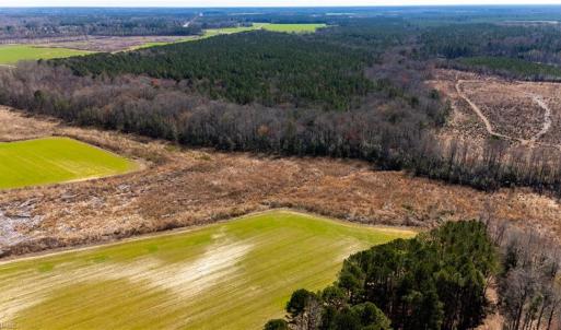 Photo #7 of 10445 Southampton Parkway, Drewryville, Virginia 165.1 acres