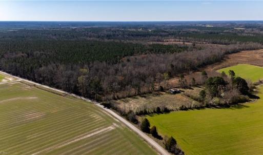 Photo #9 of 10445 Southampton Parkway, Drewryville, Virginia 165.1 acres