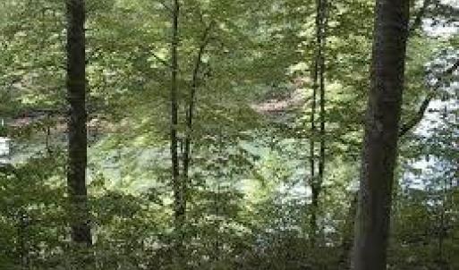 Photo #1 of 8+ Brookhaven Court, Chesapeake, Virginia 8.0 acres