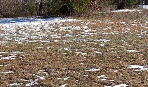 Photo #3 of 115 Rama, Reidsville, NC 1.8 acres