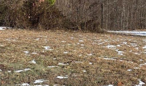 Photo #3 of 115 Rama, Reidsville, NC 1.8 acres