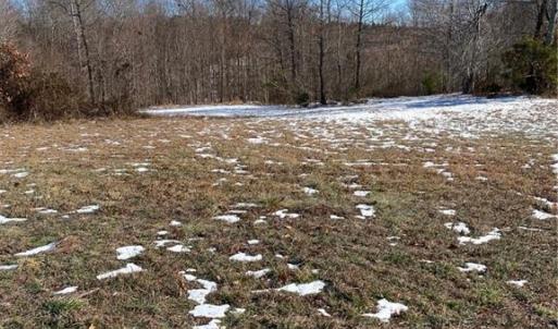 Photo #1 of 115 Rama, Reidsville, NC 1.8 acres