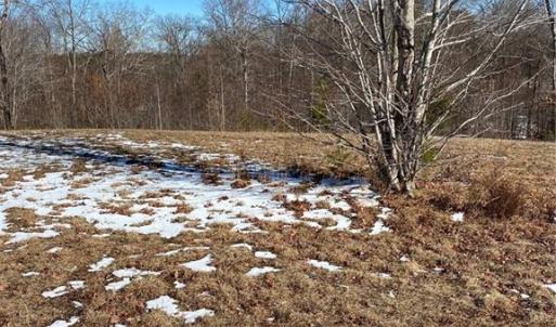 Photo #4 of 8759 NC Highway 87, Reidsville, NC 1.4 acres