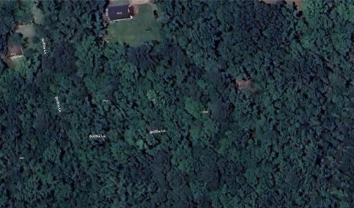 Photo #3 of 0.39Ac Griffin Lane, Suffolk, Virginia 0.4 acres