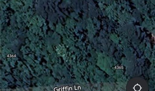 Photo #4 of 0.39Ac Griffin Lane, Suffolk, Virginia 0.4 acres