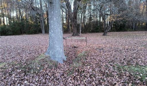 Photo #6 of 524 Fernwood Farms Road, Chesapeake, Virginia 1.8 acres