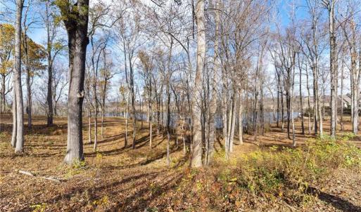 Photo #5 of Lot 3R Boxwood Shores Drive, Boydton, Virginia