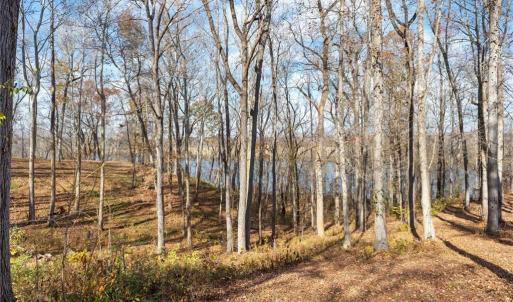 Photo #6 of Lot 4R Boxwood Shores Drive, Boydton, Virginia