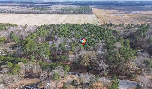 Photo #6 of 1833 Shillelagh Road, Chesapeake, Virginia 6.8 acres