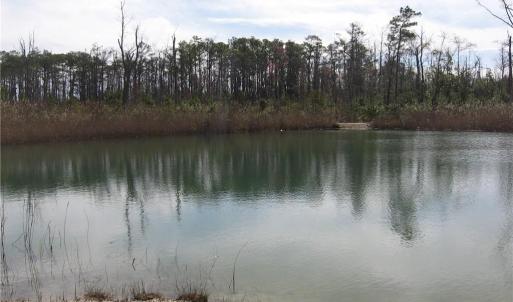Photo #19 of 4161 Caratoke Highway, Barco, North Carolina 92.4 acres