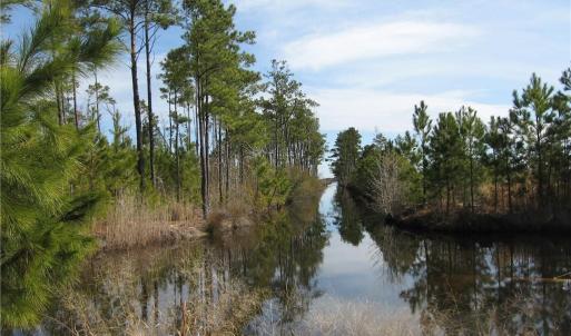 Photo #8 of 4161 Caratoke Highway, Barco, North Carolina 92.4 acres